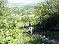 P1290372 (1)